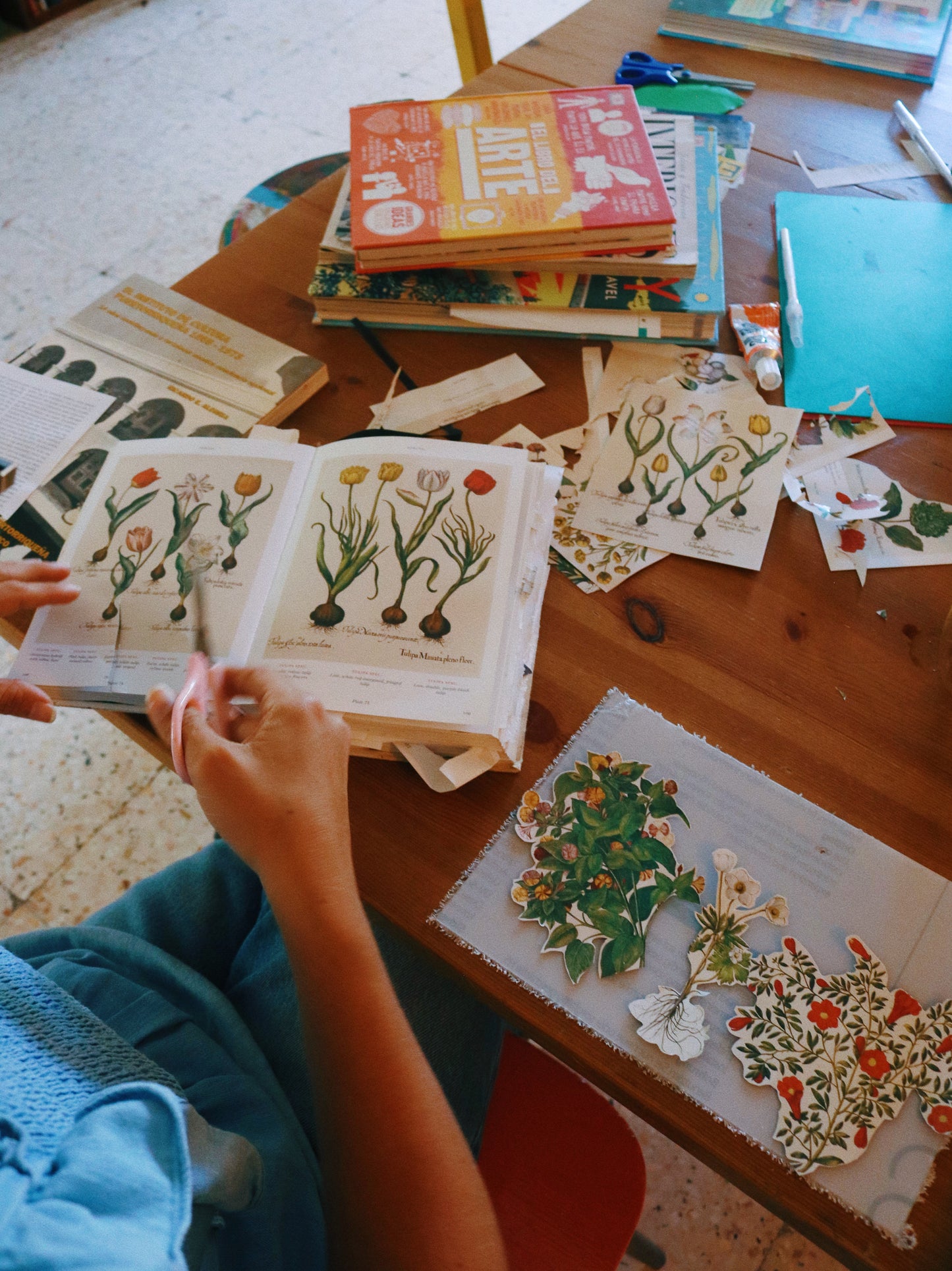 Experiencia Jardín: Reuso creativo